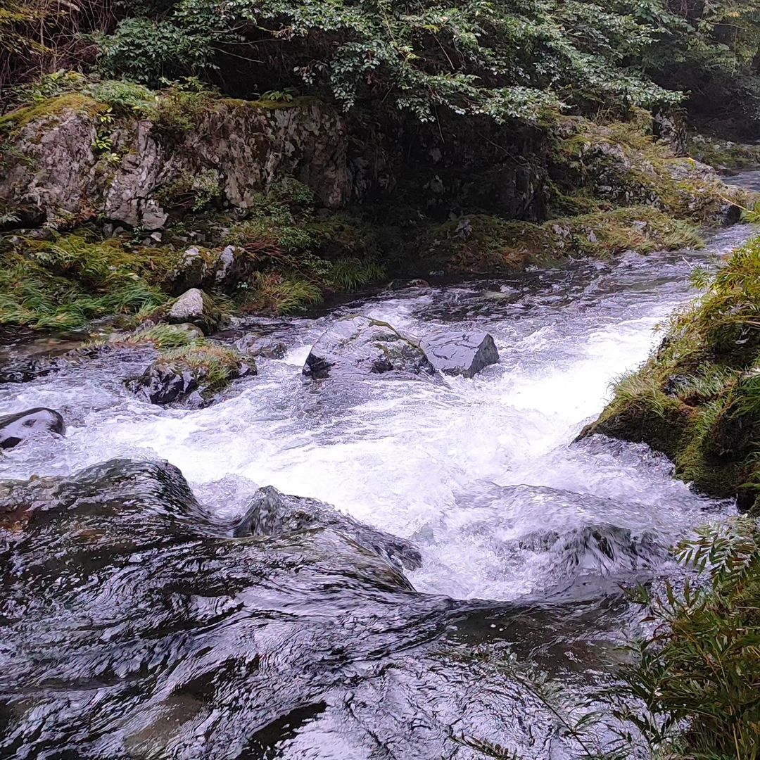 【広島・廿日市・吉和】立野キャンプ場