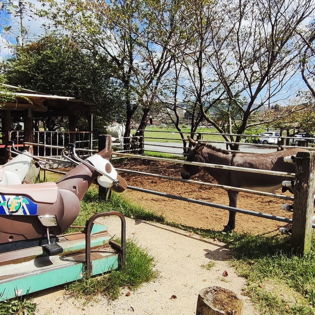 【東広島・豊栄町】トムミルクファーム