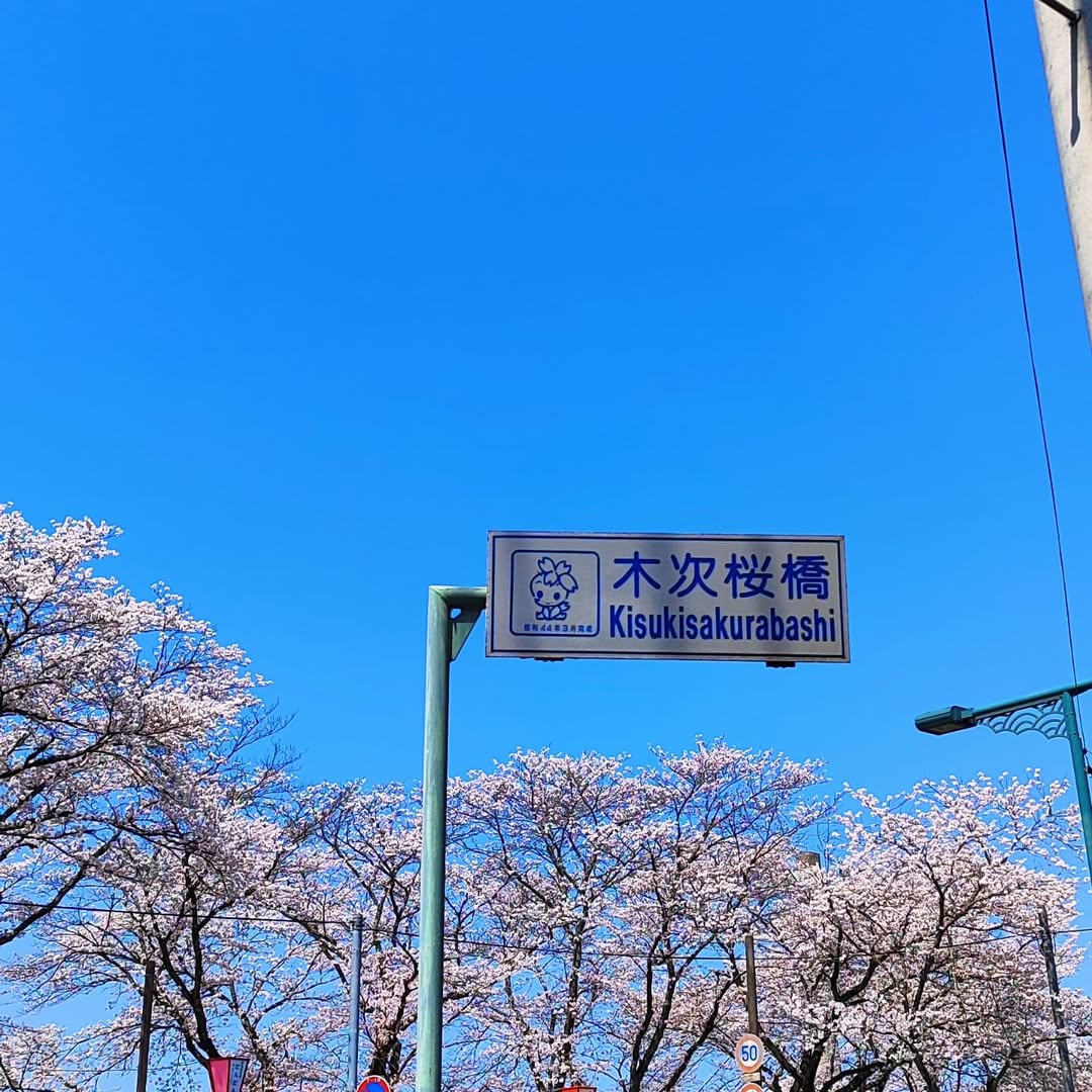 【島根県・雲南市木次町】日本さくら名所100選