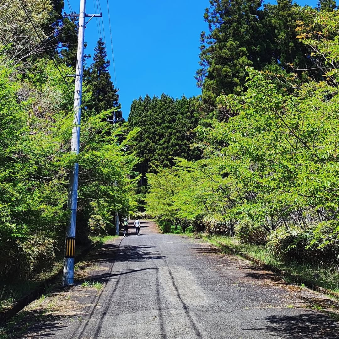 【広島・廿日市】大峯山