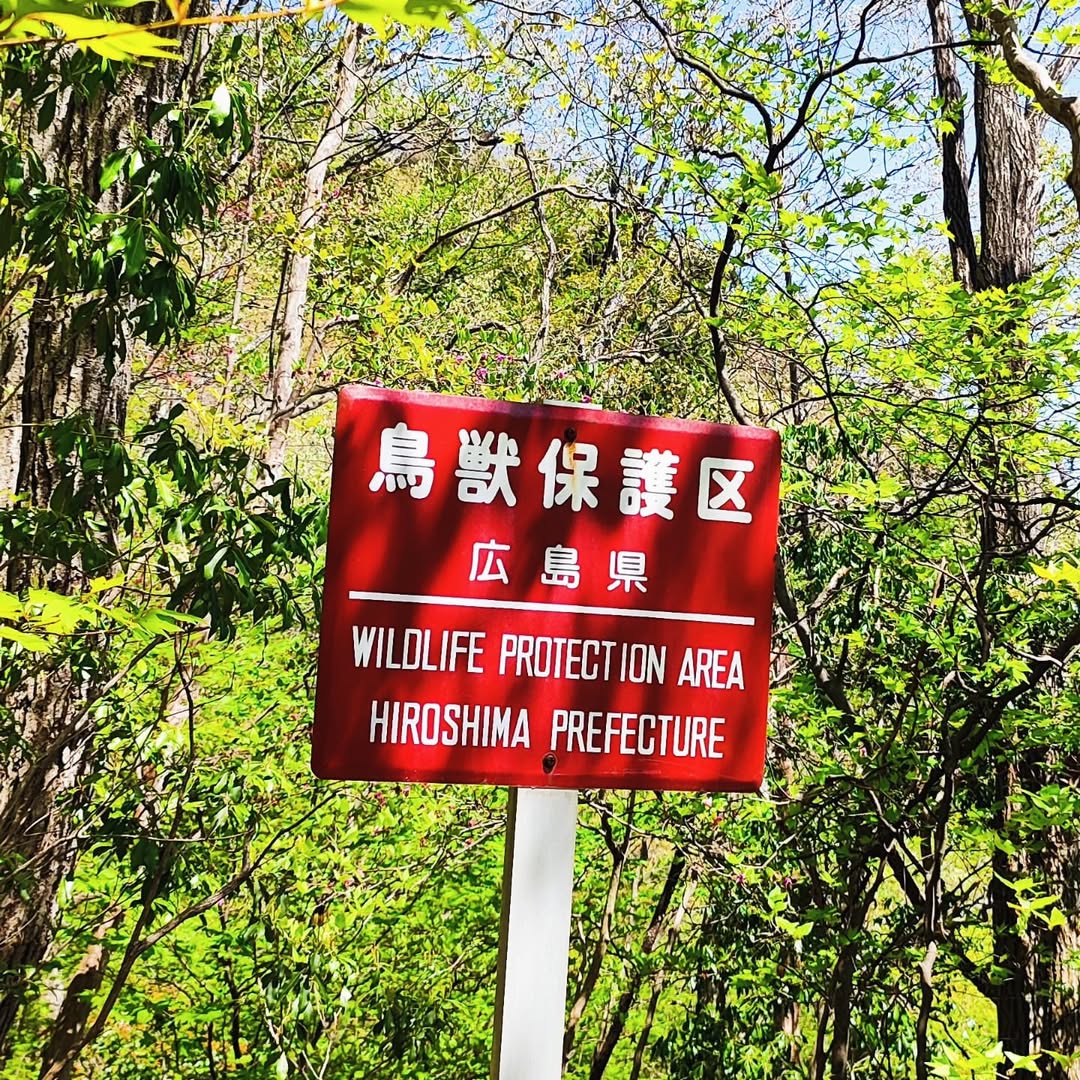 【広島・廿日市】大峯山