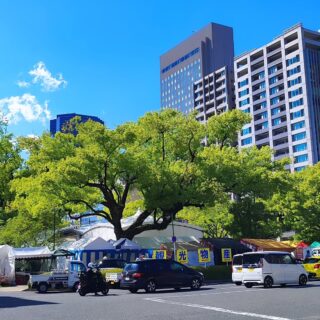 【広島】フラワーフェスティバル2025