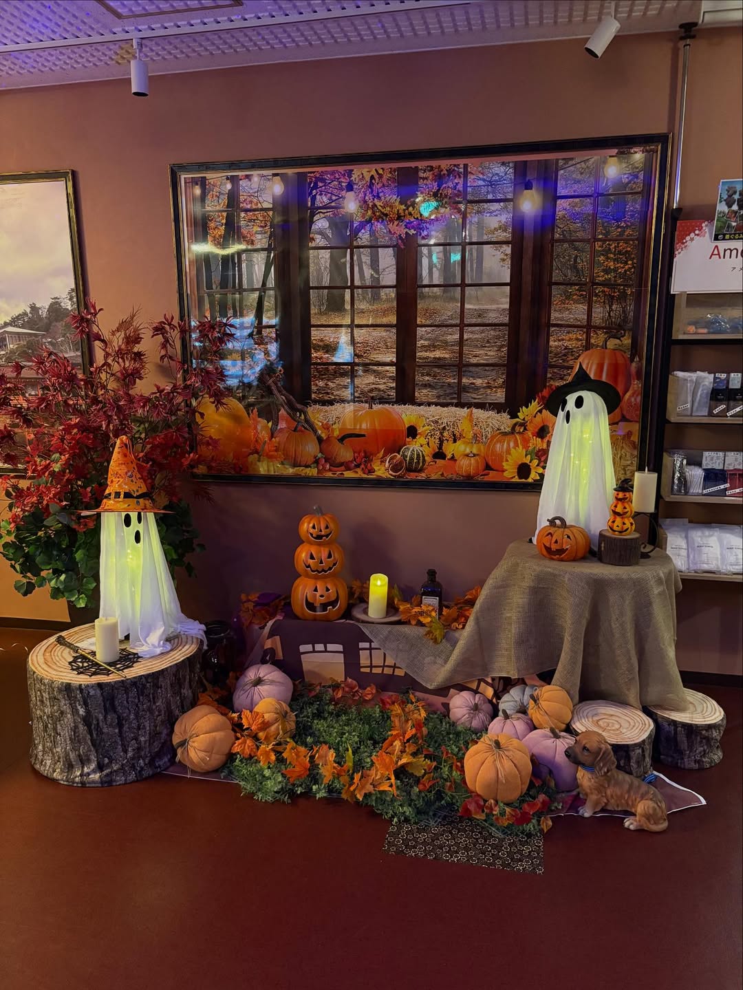 【広島】おもてなしホステルのハロウィンイベント2025