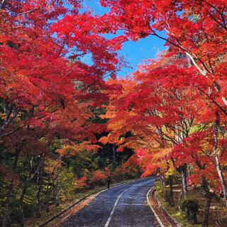 【広島・大竹】三倉岳 県立 自然公園キャンプ場