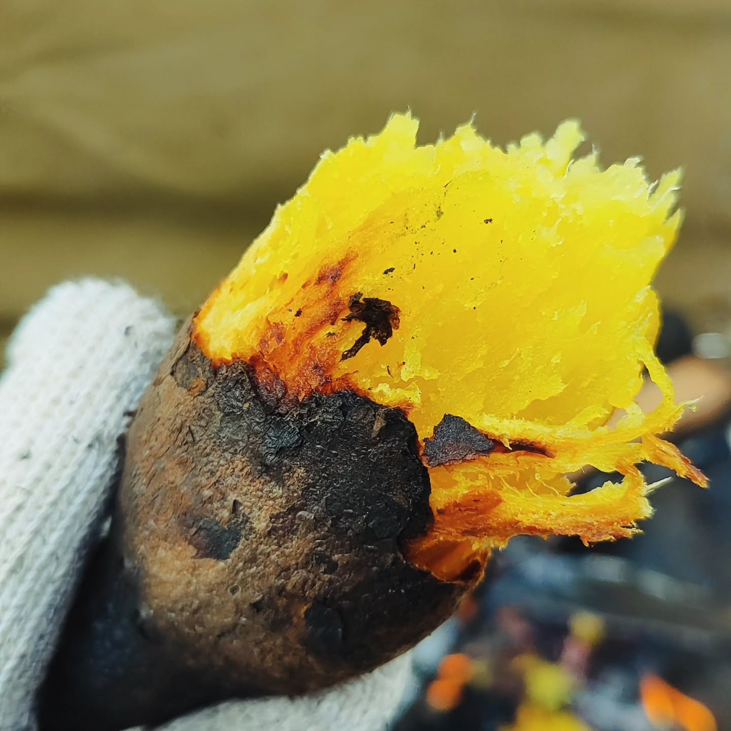 【広島・南区】比治山公園で焼き芋