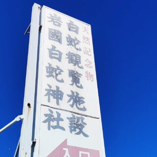 【山口・岩国】 岩國白蛇神社