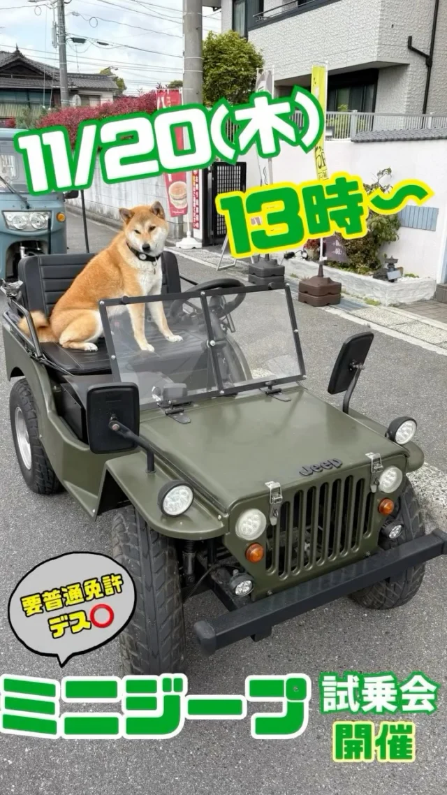 #宮島宿泊 #広島大人数で泊まれる宿 #宮島観光 #宮島団体宿泊 #宮島に近い宿 #広島旅行 #宮島ホテル安い #おもてなしホステル宮島 #広島ホテル安い #廿日市ゲストハウス #廿日市ホテル #宮島ホテル #宮島ゲストハウス #宮島犬と泊まれる宿 #広島ペット可ホテル #廿日市ランチ #宮島ランチ #広島グルメ #地御前 #宮島グルメ #ミニジープ #Doggie #ペットと乗れるバイク #ひろでん #ヒトコトトーク #広電宮島線 #広島電鉄