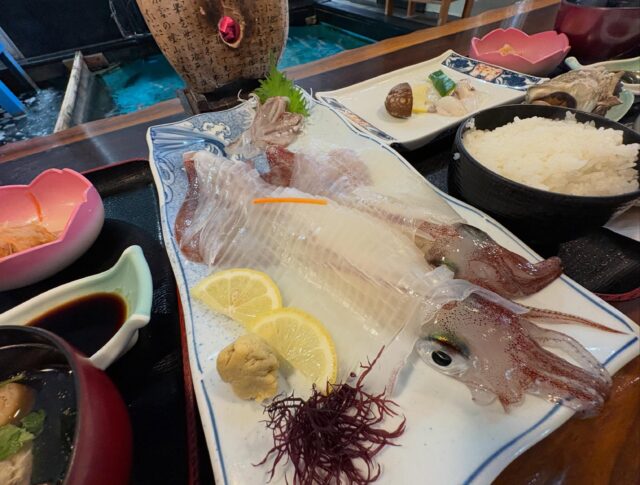 山口は萩までイカの生け造りを食べにイキまスタ ( ꒪Д꒪)v

その名も“萩心海”デス🦑

場所はすぐわかったけど店ココなの？

全くイカ御殿感が無くめっちゃ疑いましたが石碑がある、、、

どうやらココのよう…(；・∀・)

中に入ると生け簀がド～ンとあり安心しましたが奥に進むにつれよくある観光地パラダイス感が...(ﾟДﾟ；≡；ﾟДﾟ) ！？

案内してくれた人も苦節40年はいるんじゃないか...くらいのやさぐれ感で、わざわざ遠くから予約して選んで来たのにコレかよと...😩

ちなみにめちゃ昼時なのにぜんぜんお客さんおりません💦

メニュー見てももうかなりの年期で更新してない感があってもうどうでもエェ😂

とは言え食べるしか無いので定番であろう「イカづくし」を注文します❗️

「イカ刺しは一皿に盛ってエェか？」と言われたので即答で「エェですヨ！」は、もはやどうでもエェですナン…😱

んが！目の前でオッさんが華麗にイカを網で救い上げて、エッ...コレはまさか…(；・∀・)💦

で、届いたのがコレ“ド～ン💥”

めっちゃエェやん❗️やさぐれてるのフリで全然初心忘れてないやん‼️

イカの生け造りってイカの大きさで値段が全然違うんだけど、コレどちらかというと大きい方💪⤴️

しかもセットで見たらサザエのつぼ焼きあったかしら...(∩ﾟдﾟ)？

まさか「写真と違う❗️」じゃなくて「写真を超えてる⤴️」になるなんて。。。

イカはコリッコリで歯応えあって、甘みが深くて、濃厚で、めっさ美味しゅうゴザイマシタ˚✧₊⁎❝᷀ົཽ≀ˍ̮ ❝᷀ົཽ⁎⁺˳✧༚

最後脚やら耳やらは焼きにする？天ぷらにする？ってのが生け造りの定番ナンですが今回は天ぷらをチョイス☝️

んが！運ばれてきたのがこれ“ド～ン⚡️”

５倍くらいになっとるヤンけ...(΄◉◞౪◟◉｀)⁉️

何でか知らんけどウチらのイカを超えた量の天ぷらが運ばれてきて「ドユコト？」

聞いたけど増やしてナイと....✖️

で、結果ナンですけどめちゃオススメです🙆‍♂️⭕️✨✨

結局やさぐれオバさんも親切極まりない方で、ただ慣れ過ぎてて店員感がまるでない💦

ホンマ知り合いのオバちゃんって感じデス👵

最後会計の時にたまたま捌いてくれたオジさんがレジになったんだけど、新鮮なイカって天ぷらにすると膨張スルんだって,､’`( ꒪Д꒪),､’`’`

見た目５倍盛りはそーゆーコトだったようデス🫱

場所的にも分かり易いし、駐車場停めやすいし、建物こんなで思い出になるし、スタッフさんも馴染みやすいし、料理美味しいし、萩でイカ食べるなら“萩心海”へ～🙌

ってどの口がゆ～とるんじゃ( °-° )ノ)`-° )…

いじょ…

【広島・宮島観光に便利｜おもてなしホステル宮島】

おもてなしホステル宮島は、広島県廿日市市・地御前にあるホステル（ゲストハウス）です。
宮島口からはひろでんの電車で3駅の立地にあり、最寄りの地御前駅から徒歩圏内にあります。

広島市内からはバイパスで一直線のため、車でのアクセスも良好。
宮島口のフェリーターミナルまで車で約7分、広島中心部までは車で約30分と、宮島観光・広島観光の拠点として便利なロケーションです。

当施設はゲストハウスタイプのため、客室内にバス・トイレはありません。
トイレは各階共用、シャワーは各階4ブース（合計12ブース）あり、24時間ご利用可能です。
シャンプーやボディソープも完備しています。
アメニティはフロントのアメニティバイキング形式でご自由にお取りいただけます。

1階には広々とした共用ラウンジがあり、売店・レストラン・バーなどの施設を併設しています。
また、漫画コーナー・テレビゲーム・卓球・キッズスペースなどがあり、ファミリーやお子様連れのお客様にも人気の宿泊施設です。
キッチン・調理器具・調味料も完備しており、長期滞在や自炊にも対応しています。

周辺には、地御前漁港や牡蠣工場、釣りスポットなど瀬戸内海ならではの風景が広がります。
また、歴史ある地御前神社などの神社仏閣が点在し、昔ながらの街並みを感じられるエリアです。

宮島観光・広島観光の拠点として便利でありながら、自然と歴史に囲まれた静かな環境。
施設内の飲食やアクティビティも充実しており、ご家族やグループでゆっくり滞在できるホステルです。

#広島ホテル
広島ホステル
広島ゲストハウス
#宮島ホテル
宮島ホステル
宮島ゲストハウス
#廿日市ホテル
宮島観光 宿
#広島格安ホテル
宮島 宿泊
#広島ビジネスホテル

☆★☆★☆★☆★☆★☆★☆★干し星…
おもてなしホステル宮島
〒738-0042
広島県廿日市市地御前5丁目15-10
ＴＥＬ：0829-36-3677
ＦＡＸ：0829-36-3688
SNS担当:大下専務無線( ꒪Д꒪)ｖ
☆★☆★☆★☆★☆★☆★☆★欲し星…