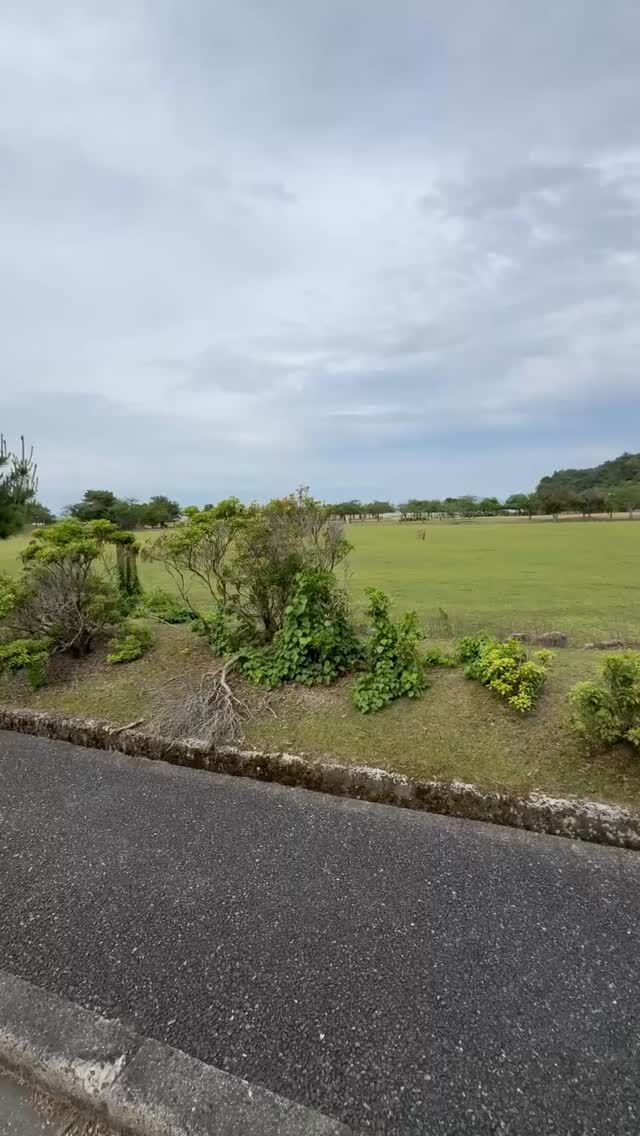 包ヶ浦自然公園のグランドは広大な芝生フィールドになってました❗️

施設閉鎖で人が来ないのに保守管理バッチリ👌でこんなフィールド日本ではナカナカお目に掛かれないのでは ( ꒪Д꒪)？

ただしシカティックフィールドになってフンだらけデス…💦

ココから起伏のある原生林ロードをひたすら進んで行きますが、さてコノ先何があるのかぁ〜 ( ꒪Д꒪)ﾉ

いじょ、

#広島ホテル #宮島観光 #宮島ホテル #APトライク #包ヶ浦自然公園 

【おもてなしホステル宮島とはこんなトコロ】

瀬戸内海の海・風・空を全身で感じられる自然豊かなロケーションに佇む体験型ホステル。

四季折々の景色に癒されながら、ゆったりとした時間をお過ごしいただけます。

広島観光・宮島観光の拠点に最適な好立地で、家族旅行はもちろん、外国人旅行者からも高い支持をいただいています。

バイパスから直ぐなので広島市内へのアクセスも良好です。

館内には漫画・卓球・TVゲーム・駄菓子・当てくじ・キッズコーナーなど、泊まるだけに留まらず遊べるコンテンツが豊富で充実！

さらに、売店・BAR・フードコート形式のレストランも併設しており、外出せずに館内だけで一日楽しめます。

近隣には全国規模の大会が開催されるサンチェリーがあり、スポーツ合宿・大会利用の宿泊先としても毎年多数の団体様にご利用いただいています。

また、地域では数少ないペットと一緒に泊まれる客室もご用意。

「宿泊 × 遊び × 交流」を融合した、他にはないアトラクション型ハイブリッドホステルです。

広島ゲストハウス
宮島ゲストハウス
廿日市ホテル
広島格安ホテル
宮島宿泊
瀬戸内海
包ヶ浦
バックパッカー
格安ドミトリー
広島ペットホテル
宮島ペットと泊まれる宿

☆★☆★☆★☆★☆★☆★☆★干し星…
おもてなしホステル宮島
〒738-0042
広島県廿日市市地御前5丁目15-10
ＴＥＬ：0829-36-3677
ＦＡＸ：0829-36-3688
SNS担当:大下専務無線( ꒪Д꒪)ｖ
☆★☆★☆★☆★☆★☆★☆★欲し星…