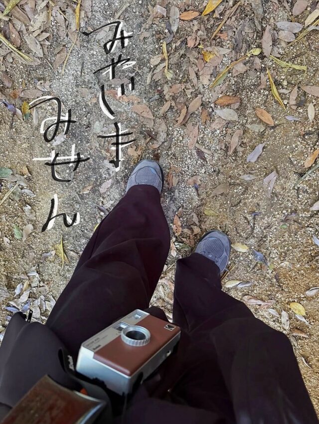 📍弥山(みせん)

5月の平日の記録📝☀️

~登山の流れ~
14:00宮島着🛳️
　|
14:30紅葉谷公園登山口着🍁
　|
15:15ロープウェイ分岐点着🚡
(ロープウェイからも20分程歩く)
　|
15:30弥山登頂⛰️🚩
　|
16:20頃下山開始
(ロープウェイ乗ってみたかったけど間に合わず💦)
　|
17:15登山口着🦌

登山口から山頂まで全て歩いた場合
私はほぼ休憩を取らなかったのと、午後出発だったので他に歩いている人がほとんどおらず、1時間で辿り着けましたが、
ホームページなどには1時間半〜2時間と書かれていました⏳

一番簡単と言われている紅葉谷コースを通りましたが、階段が多く、普段運動量の少ない方は大変かもしれません💦
靴も運動靴など歩きやすい靴が良いです🥾👟⭕️

－－－－－－－－－－－－－－－－－－－－

👆おもてなしスタッフDoのアカウントでは
こんな感じで20代女子目線の楽しいを発信しています🧚🏻‍♀️
ぜひぜひ覗いてみてください👀✨
フォロー&いいねしていただけると喜びます💓

>>>@futian___ 

#宮島
#弥山
#広島登山
#広島旅行
#広島ゲストハウス