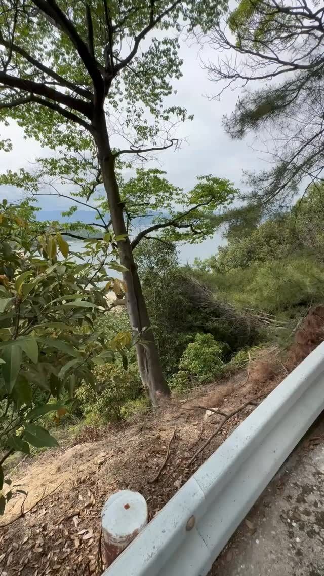 宮島のまさに裏手に来たでー❗️

この辺りは起伏の激しい急勾配が続きますが、瀬戸内を望む断崖絶壁はコレなかなかお目に掛かれない手付かずの原風景🪨

海を見渡すとズドーン大海原なのですが、普段お目に掛かれ無いガチ国家機密様たちがチラホラおるでの,､’`( ꒪Д꒪),､’`’`

空にはF22が飛んでたりでホンマ自然で何も無いんで逆に自然じゃ無い音が耳に入る…👂

巷とは一線を画して世界情勢色々忙しんですかね🤔？

知らんけど💦

いじょ…

【広島・宮島観光に便利｜おもてなしホステル宮島】

おもてなしホステル宮島は、広島県廿日市市・地御前にあるホステル（ゲストハウス）です。
宮島口からはひろでんの電車で3駅の立地にあり、最寄りの地御前駅から徒歩圏内にあります。

広島市内からはバイパスで一直線のため、車でのアクセスも良好。
宮島口のフェリーターミナルまで車で約7分、広島中心部までは車で約30分と、宮島観光・広島観光の拠点として便利なロケーションです。

当施設はゲストハウスタイプのため、客室内にバス・トイレはありません。
トイレは各階共用、シャワーは各階4ブース（合計12ブース）あり、24時間ご利用可能です。
シャンプーやボディソープも完備しています。
アメニティはフロントのアメニティバイキング形式でご自由にお取りいただけます。

1階には広々とした共用ラウンジがあり、売店・レストラン・バーなどの施設を併設しています。
また、漫画コーナー・テレビゲーム・卓球・キッズスペースなどがあり、ファミリーやお子様連れのお客様にも人気の宿泊施設です。
キッチン・調理器具・調味料も完備しており、長期滞在や自炊にも対応しています。

周辺には、地御前漁港や牡蠣工場、釣りスポットなど瀬戸内海ならではの風景が広がります。
また、歴史ある地御前神社などの神社仏閣が点在し、昔ながらの街並みを感じられるエリアです。

宮島観光・広島観光の拠点として便利でありながら、自然と歴史に囲まれた静かな環境。
施設内の飲食やアクティビティも充実しており、ご家族やグループでゆっくり滞在できるホステルです。

#広島ホテル
広島ホステル
広島ゲストハウス
#宮島ホテル
宮島ホステル
宮島ゲストハウス
#廿日市ホテル
宮島観光 宿
#広島格安ホテル
宮島 宿泊
#広島ビジネスホテル

☆★☆★☆★☆★☆★☆★☆★干し星…
おもてなしホステル宮島
〒738-0042
広島県廿日市市地御前5丁目15-10
ＴＥＬ：0829-36-3677
ＦＡＸ：0829-36-3688
SNS担当:大下専務無線( ꒪Д꒪)ｖ
☆★☆★☆★☆★☆★☆★☆★欲し星…