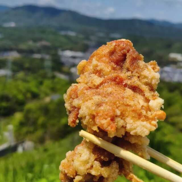 夏はもうすぐ
てか、もう暑い💦

こんなときは食でスタミナアップ！
安佐南の伴東にある「やっぱりカラアゲだね」でお弁当を購入

そして近くにある権現峠（ごんげんだお）へ
ここから登山できるのかな？
次は行ってみよう🏃

ということで登山口から道なりに登ると開けた場所へ
とても景色がいいや（暑いけど 笑）

ここでお弁当タイム
からあげを空に帰してあげました😋

やっぱりカラアゲの唐揚げは最高〜♪

ラビット🐰

☆★☆★☆★☆★☆★☆★☆★⁡⁡⁡⁡⁡

お子様連れ広島旅行の味方
おもてなしホステル宮島がリニューアル後も変わらず大人気
・子供が大はしゃぎのコンセプトルーム＆キッズスペース
・卓球・ゲーム・漫画、遊び放題のコスパ最強なのに清潔で安心
・宮島フェリー乗り場まで激近！ 

自慢の家族型ホステル
今年の宮島・広島旅行はここで決まりませんか？

おもてなしホステル宮島
〒738-0042⁡
広島県廿日市市地御前5丁目15-10

☆★☆★☆★☆★☆★☆★☆★⁡⁡⁡⁡⁡
#フジグラン
#広島ランチ
#どんと
#広島
#宝町